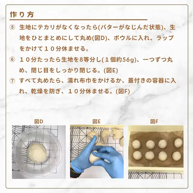 塩パンの作り方ステップ5から7を説明するテキストと、生地を丸めた状態(図D)、生地を8等分して丸める様子(図E)、丸めた生地を並べた状態(図F)を示す3枚の工程写真。